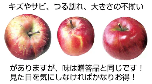 【 予約受付中 】青森県産 訳あり 葉とらず 王林 りんご 約5kg ※11月上旬頃から予約順発送※