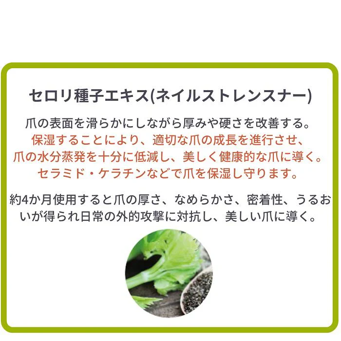 大人ネイルビターコート 7ml