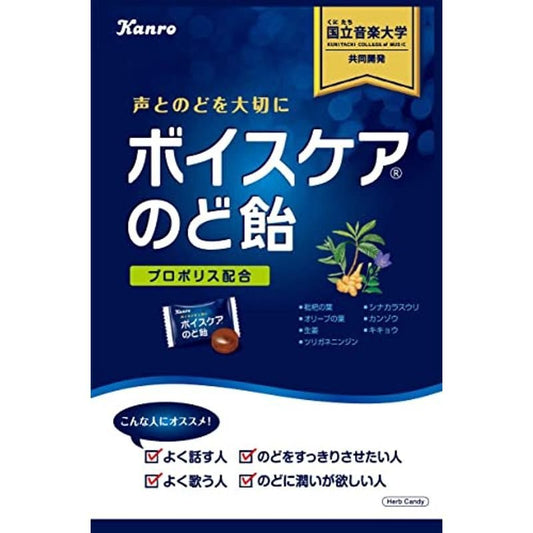 【3人シェア買いでお得】カンロ ボイスケアのど飴 563g×1袋  大容量パック