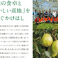 【11gatu 】りんご 訳あり 山形県産 約10kg(玉数おまかせ) 送料無料 品種おまかせ バラ詰め ※一部地域は別途送料追加 フルーツ 果物 果物 順次発送 ap13