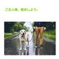 ペット用リード 犬 猫 シートベルト ストラップ ヘッドレストに掛けるだけ お出かけ ドライブ 病院 帰省 散歩 旅行 車 首輪 固定 飛び出し転落防止 安全 調節可