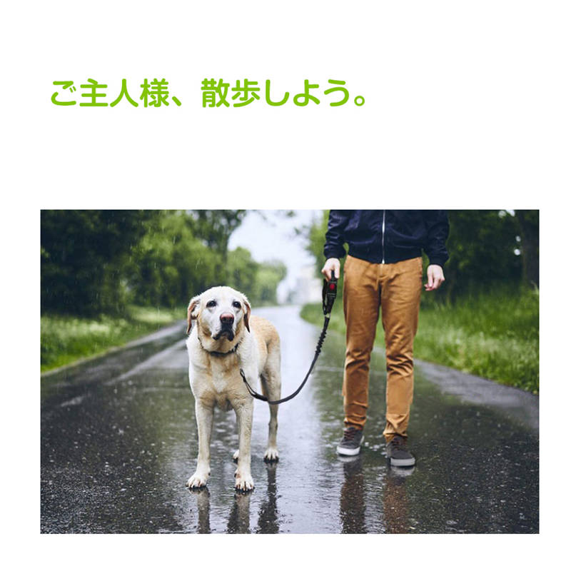 ペット用リード 犬 猫 シートベルト ストラップ ヘッドレストに掛けるだけ お出かけ ドライブ 病院 帰省 散歩 旅行 車 首輪 固定 飛び出し転落防止 安全 調節可