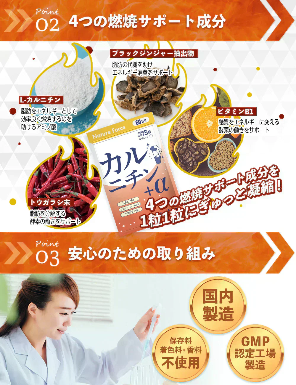 【訳あり 使用期限2025年9月】薬剤師監修 カルニチン＋α 60日分 1袋 L-カルニチン45,000mg配合 ブラックジンジャー カプサイシン ビタミンB1 ネイチャーフォース Nature Force