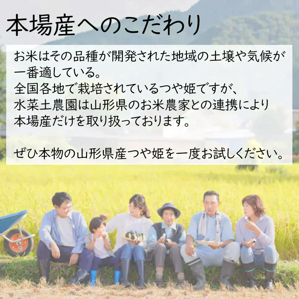 山形県産 つや姫 精米20kg（5kg×4袋）令和7年産 古代米プレゼント付き