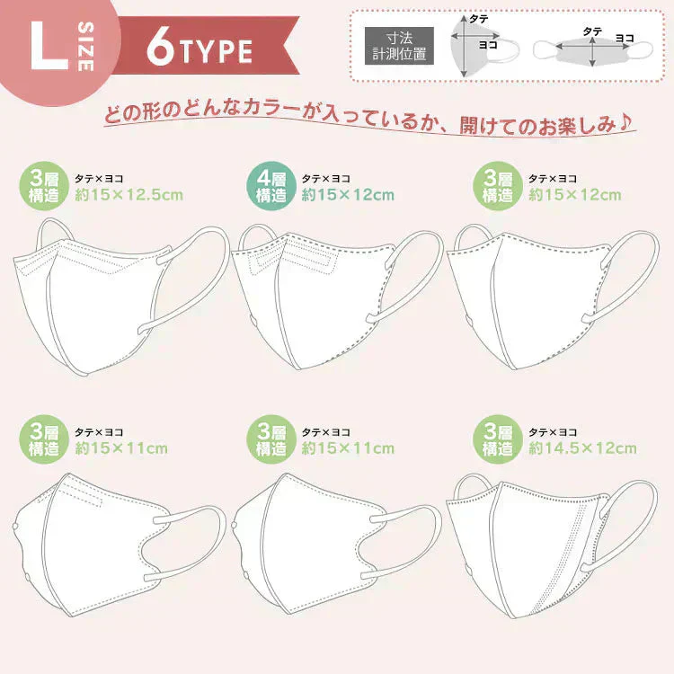 3D立体マスクLサイズ220枚 カラーマスク バイカラーマスク 不織布マスク 福袋