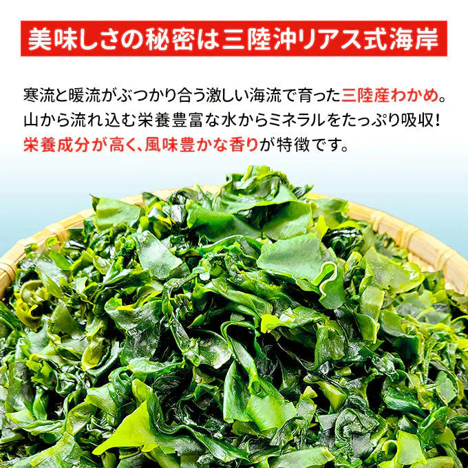 三陸産 カットわかめ 100g 常温便 ネコポス 送料無料