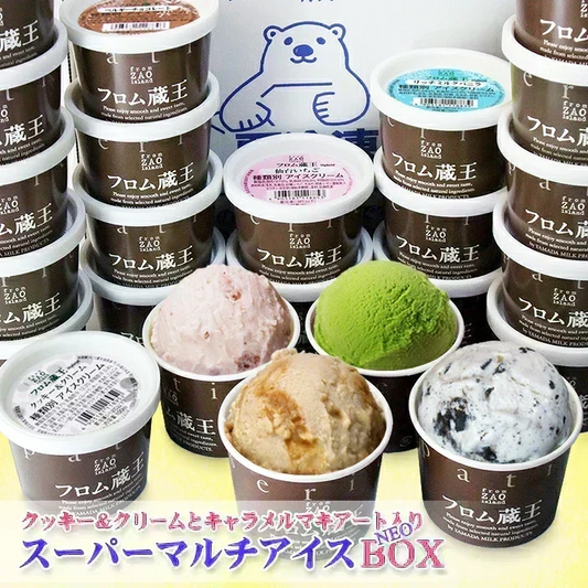 【送料込み】フロム蔵王 HybridスーパーマルチアイスBOX24・NEO(ネオマルチ)