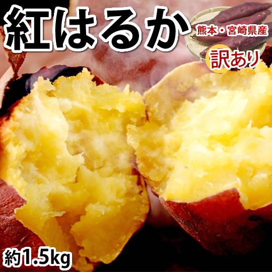 紅はるか べにはるか 訳あり 1.5kg 送料無料 お取り寄せ さつまいも 熊本県産 サツマイモ 紅蜜芋 焼き芋 芋 いも
