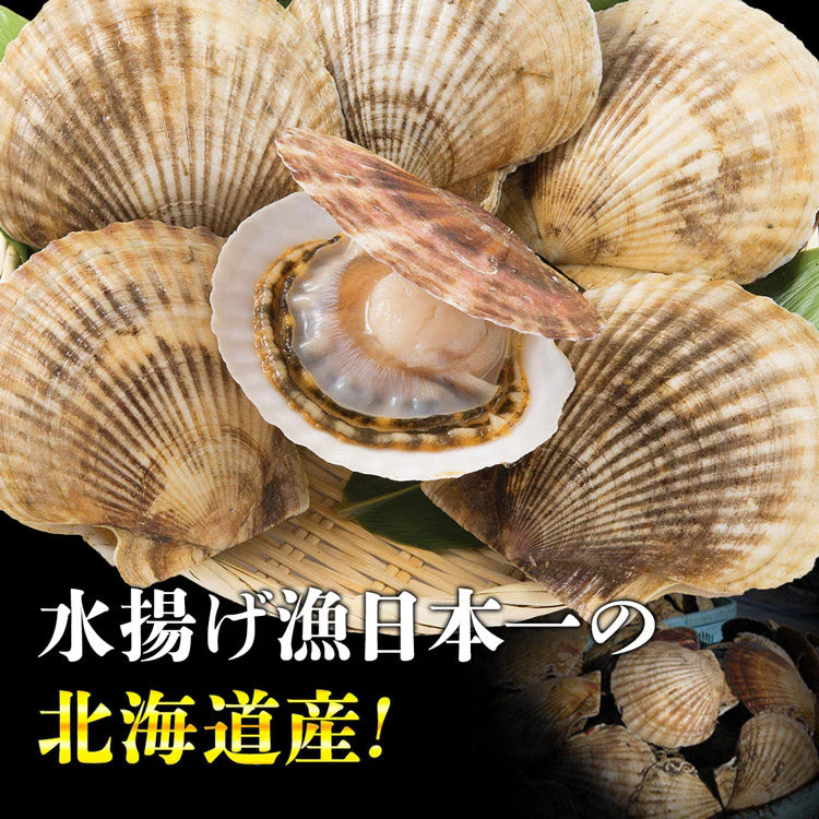 【タイムセール】殻付ほたて貝 10枚入り 冷凍便 【送料無料】 帆立 ホタテ 片貝 バーベキュー/BBQ お取り寄せグルメ 食品 ギフト 海鮮