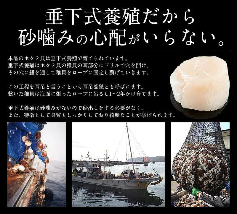 焼きホタテ 100g 北海道産 ほたて ホタテ ほたて貝 酒のつまみ おつまみ つまみ 酒の肴 美味しい 北海道グルメ グルメ 贈り物 ［送料無料］［ゆうパケット］ 母の日 プレゼント ギフト  母の日思いの 健康 実用的 父の日 子供 孫 ※ポスト投函商品の発送は1～2週間前後になります