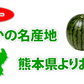 すいか 訳あり 大玉すいか 送料無料 6kg以上(6～10kg) 1玉 L〜3L 熊本すいか お取り寄せ スイカ 熊本県産 すいか 西瓜 フルーツ