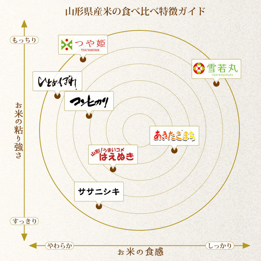 【節減対象農薬・化学肥料：当地比5割減】 コシヒカリ 白米 5kg (5kg×1袋) 山形県産 令和6年産 送料無料 米 5キロ こめ コメ お米 精米 新米 お米5kg 減農薬 コシヒカリ5kg コシヒカリ5キロ こしひかり5kg こしひかり5キロ