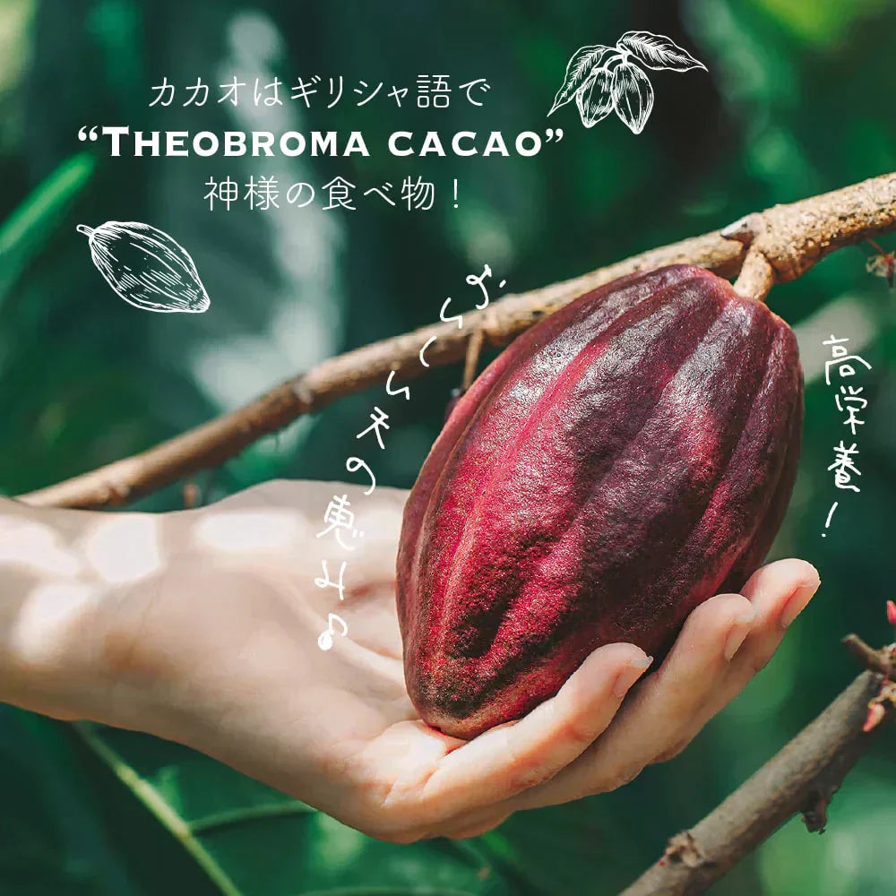 カカオマス 2kg(500g×4袋) 送料無料 チョコレート お菓子づくり 製菓 製パン