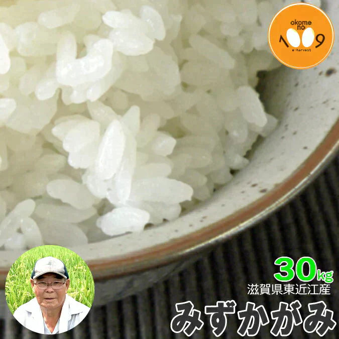 新米 滋賀県東近江産 みずかがみ 玄米 30kg 諏訪一男 令和6年産 環境こだわり農産物