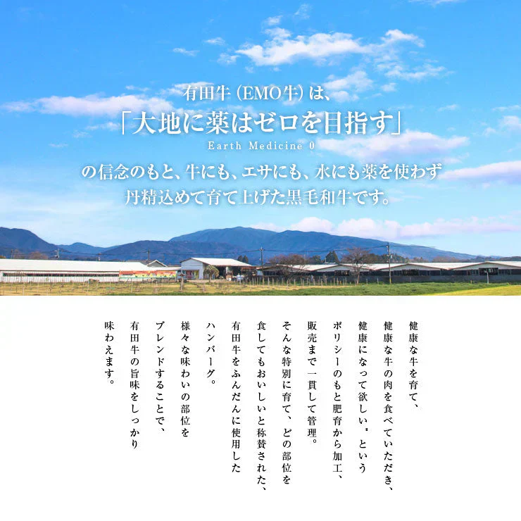 お歳暮 御歳暮 プレゼント ギフトハンバーグ 有田牛 宮崎県産 黒毛和牛 EMO牛 エモー牛 てごね ハンバーグ 手ごねハンバーグ 100g×10個 冷凍食品 おかず お取り寄せグルメ  ハンバーグステーキ 卵不使用 焼き温めるだけ ホルモン剤不使用 抗生物質不使用 遺伝子組換え飼料不使用 ホルモンフリー