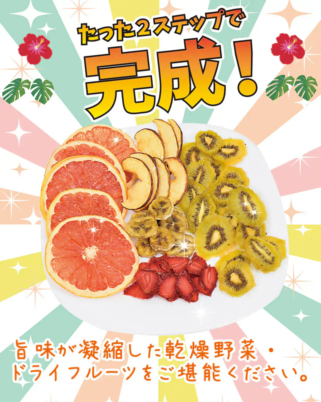 ドライフードメーカー 1個 【発送予定は商品詳細説明参照】 食品乾燥機 野菜乾燥機 ドライフルーツ ドライ野菜