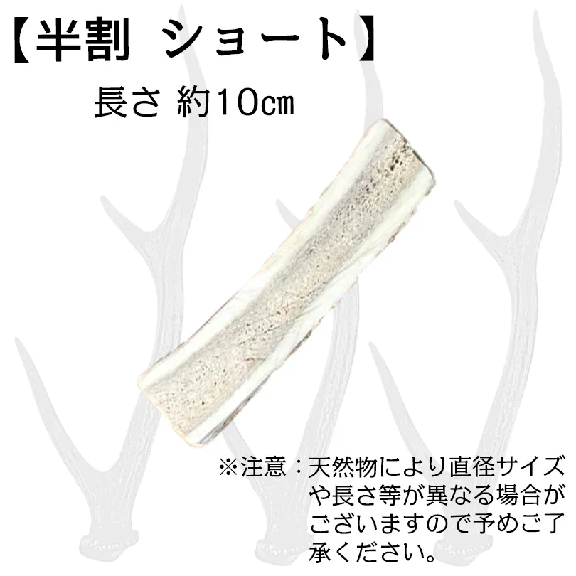Deerhorn【半割ショート】 北海道産 鹿の角 鹿角 ペット 犬 おもちゃ 小型犬 半割 いたずら防止 おやつ デンタルケア ガム 天然 無添加