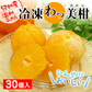 冷凍わっ美柑 30個