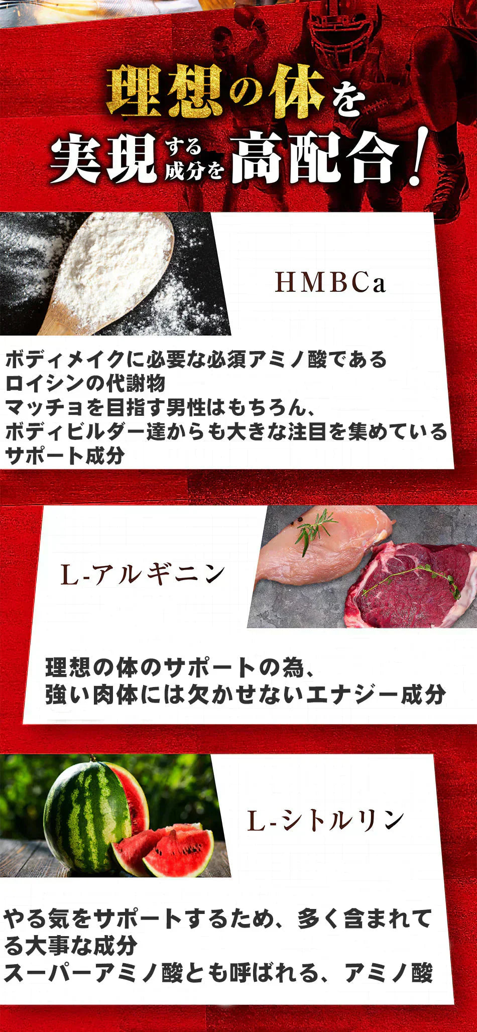 【ストロング HMB・お得3ヶ月分】太く 強く 気力 活力 男性 BCAA クレアチン カルニチン 亜鉛 アルギニン 人気ランキング サプリメント 国産 ダイエット 女性が求める最強のボディー 男力 バルクアップ 理想の体 ダイエットボディーメイク マカ HMB おすすめ 人気 ランキング 効果 強力 最強 スッポン マムシ BCAA 馬睾丸 日本