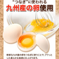 大容量 ハンバーグ 1.5kg (150g × 10個) 国産 熊本県 あか牛 九州産 卵 デミグラスソース 冷凍 レトルト お湯 湯煎 するだけ 温めるだけ お弁当 にも使えて便利《1-5営業日以内に出荷予定(土日祝日除く)》