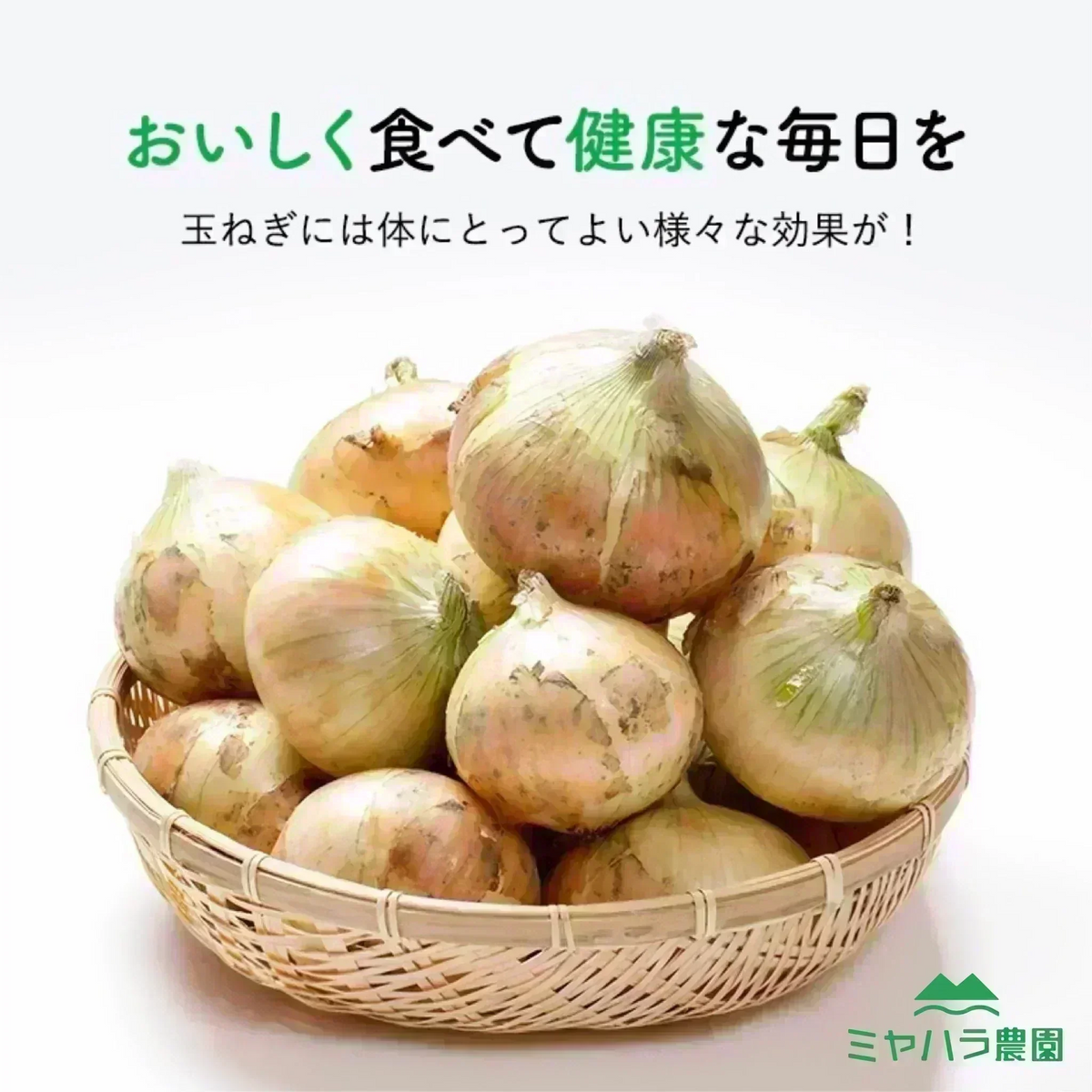 【10営業日以内に発送】約1.7kg（1600g～1800g）たっぷりお届け！つやまる玉ねぎ 農家直送【九州～関西～関東～北陸 発送可】【カウシェファーム収穫対象商品】