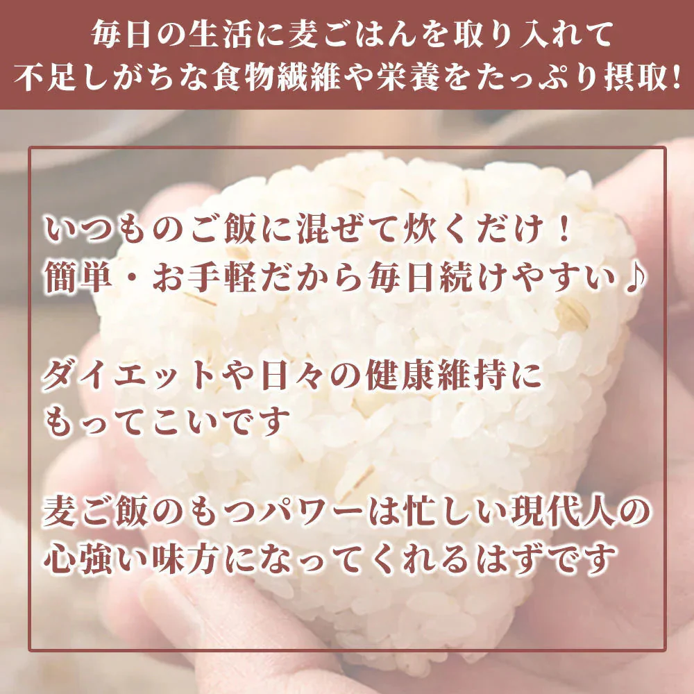 雑穀 雑穀米 国産 丸麦 8kg(400g×20袋) 業務用サイズ 無添加 無着色 送料無料