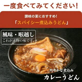 【4食入】讃岐の製麺所が作るレンジで簡単！辛すぎないスパイシーなカレーうどん(180g×4)/ゆうパケット