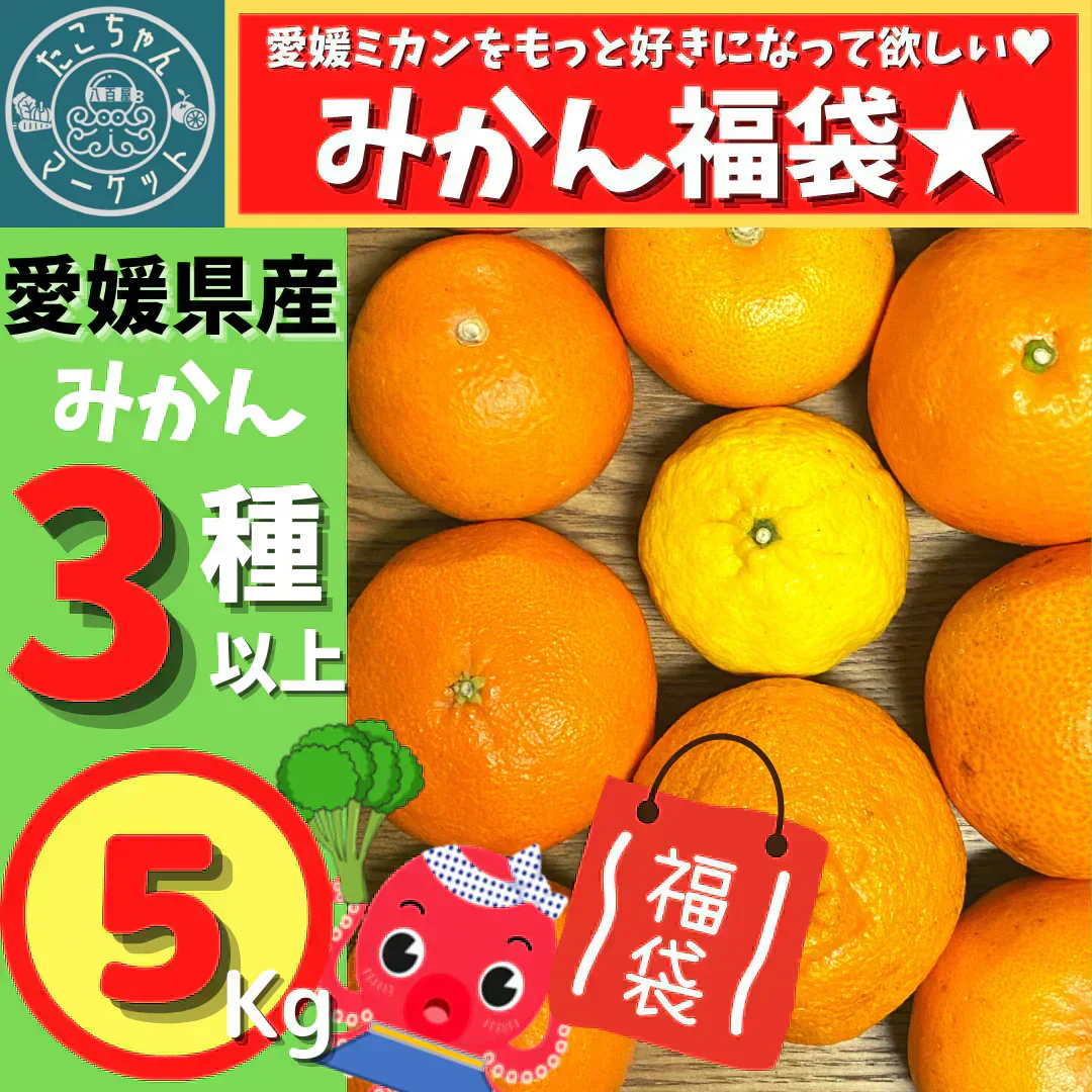 【発送は１月末からスタート】3種以上！愛媛のみかん食べ比べセット！5kg高級みかんが入るかも！?【福袋】