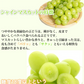 【7月下旬～8月上旬頃より順次出荷】〈クール便でお届け〉 シャインマスカット ぶどう 送料無料 1kg 2〜3房 九州産 マスカット 葡萄 ブドウ