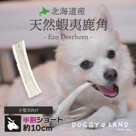 Deerhorn【半割ショート】 北海道産 鹿の角 鹿角 ペット 犬 おもちゃ 小型犬 半割 いたずら防止 おやつ デンタルケア ガム 天然 無添加
