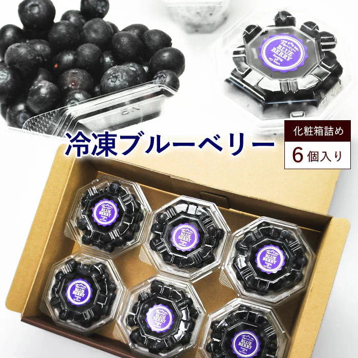 冷凍ブルーベリー（100g）6個入り化粧箱詰め　贈り物にも最適なギフト箱入り