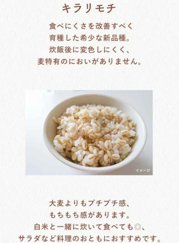 ★キラリモチ / もち麦　10kg（5kg×2パック）　令和7年岡山県産