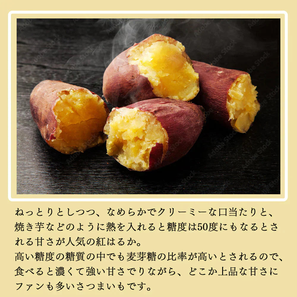 さつまいも 5KG 紅はるか 紅東 或いはシルクスイート