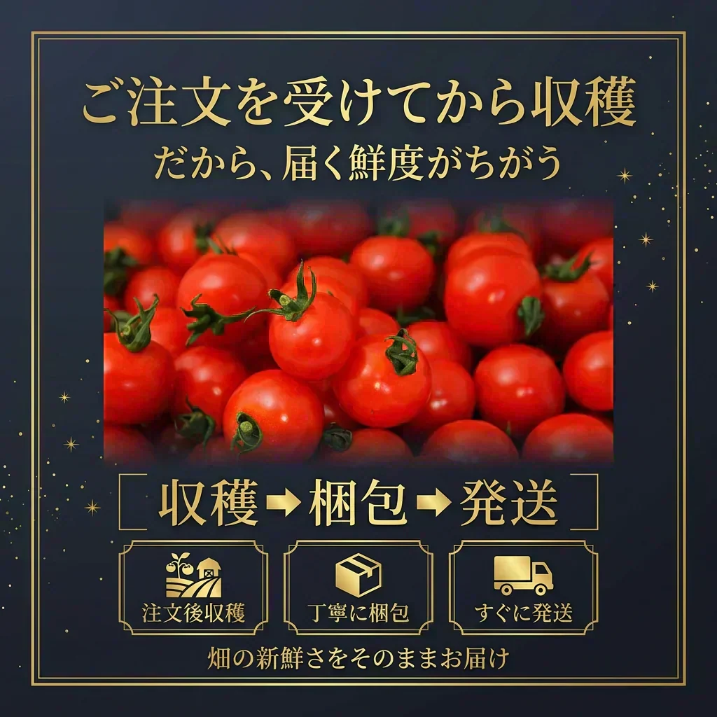 予約【2026年12月前後～2027年2月28日までに順次発送】＼特別栽培農産物／ ソムリエミニトマト　ダイヤ　３００ｇ（補償100g込み）※補償分以上の不良は交換対応可能【カウシェファーム収穫対象商品】