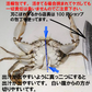 生出荷！カニ汁用！約80杯分！石蟹小サイズ４kg