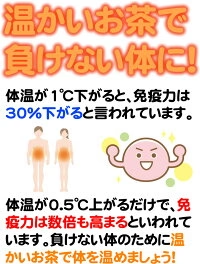 500g×4袋 北海道産 韃靼そば茶 だったんそば茶