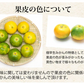 【10月上旬～中旬頃より順次出荷】みかん 10kg 熊本みかん 送料無料 秀品 2S〜L 熊本県産 極早生みかん お取り寄せ 蜜柑 ミカン