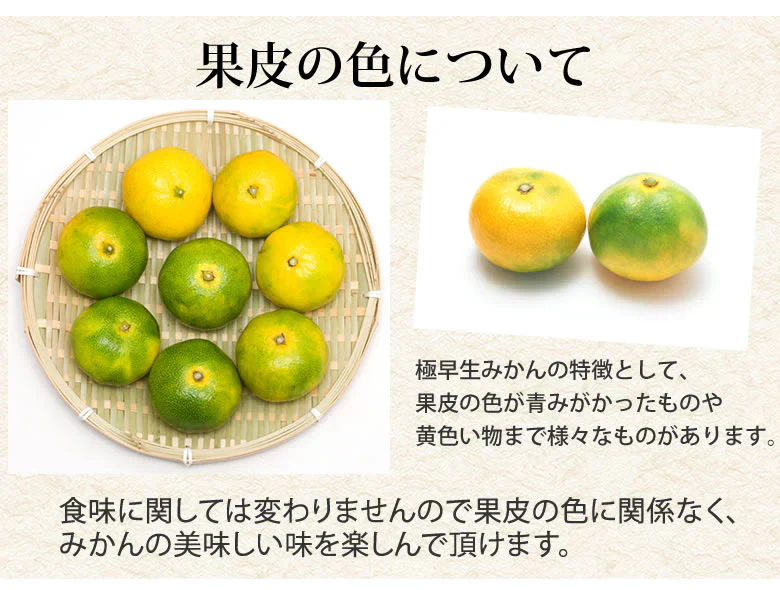 【10月上旬～中旬頃より順次出荷】みかん 10kg 熊本みかん 送料無料 秀品 2S〜L 熊本県産 極早生みかん お取り寄せ 蜜柑 ミカン