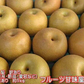 梨 訳あり（愛甘水・幸水・豊水・秋月・新高・愛宕・新興・秋麗・甘太など）約5kg（約5～24玉) 旬な品種をお届け【8月下旬頃～9月下旬順次発送】