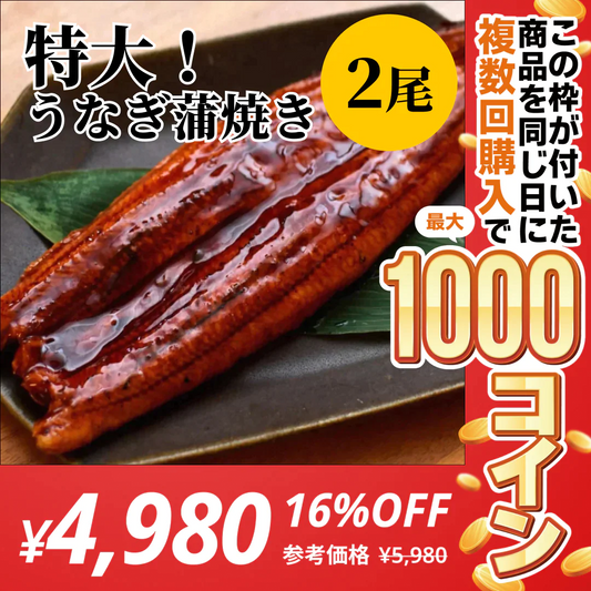 【特大！】うなぎ2尾セット【コインバック対象】