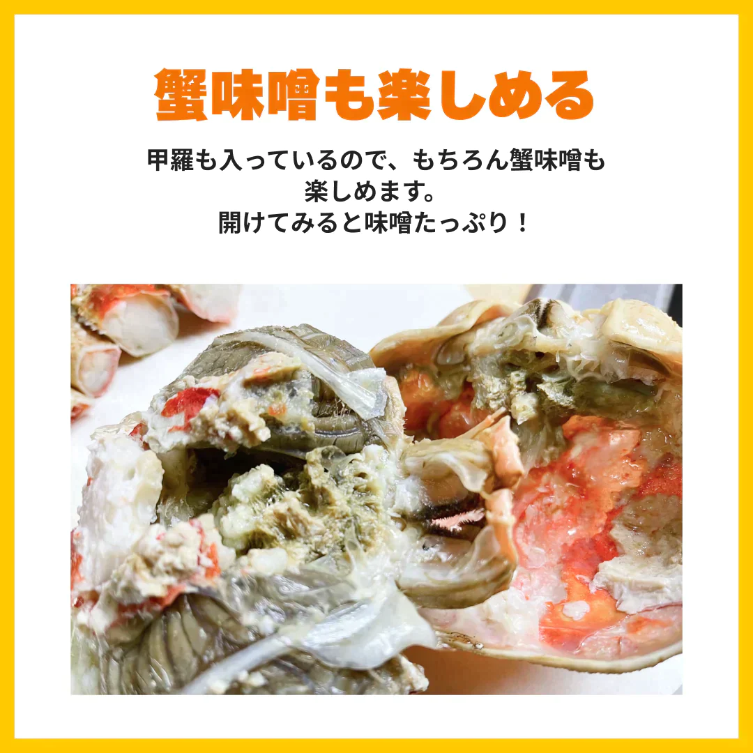 ボイル本ズワイ蟹　5㎏　発泡箱入り（1尾あたり約700g）