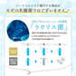 乳酸菌《約3ヶ月分》有胞子性乳酸菌ソフトカプセル/ 乳酸菌 高配合 サプリ 桜の花エキス