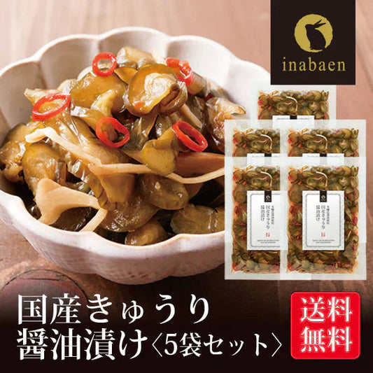 【5個セット】日本橋いなば園 国産きゅうり醤油漬け 100g ネコポス メール便送料無料