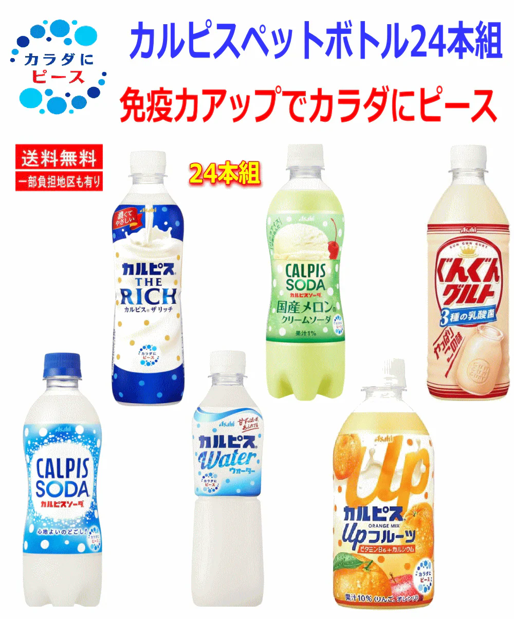 アサヒ飲料 カルピスウォーター カルピスソーダ カルピスリッチ メロンクリームソーダ フルーツオレンジ ぐんぐんグルト 24本