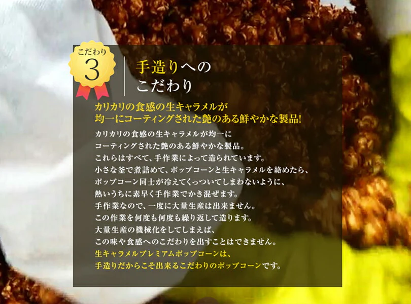 花畑牧場 生キャラメルプレミアムポップコーン 生キャラメル 100g 2個セット メール便 送料無料 送料込 北海道産 お菓子 おやつ 手造り リッチ お土産 手土産 プレゼント 贈り物 お茶請け