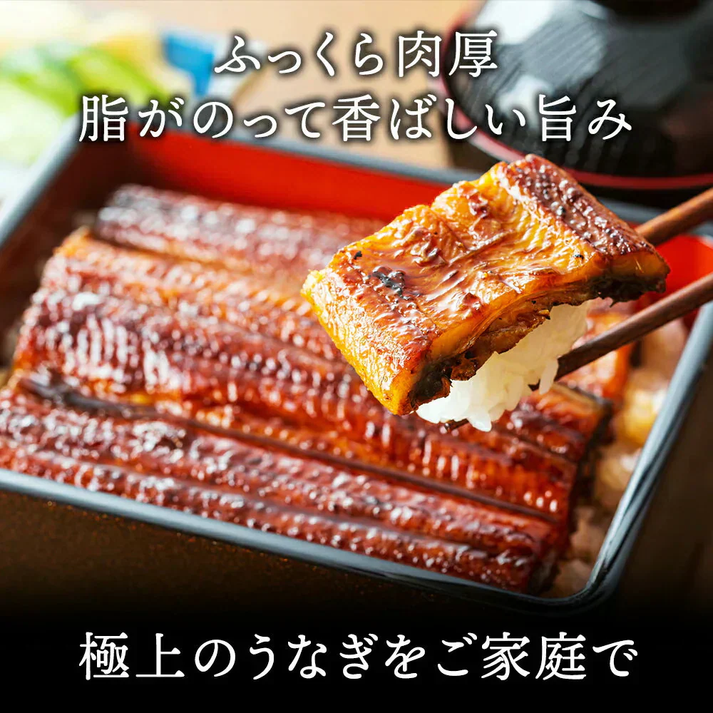 【国産】特大うなぎの蒲焼き 200g×1尾　うなぎ 鰻 丑の日