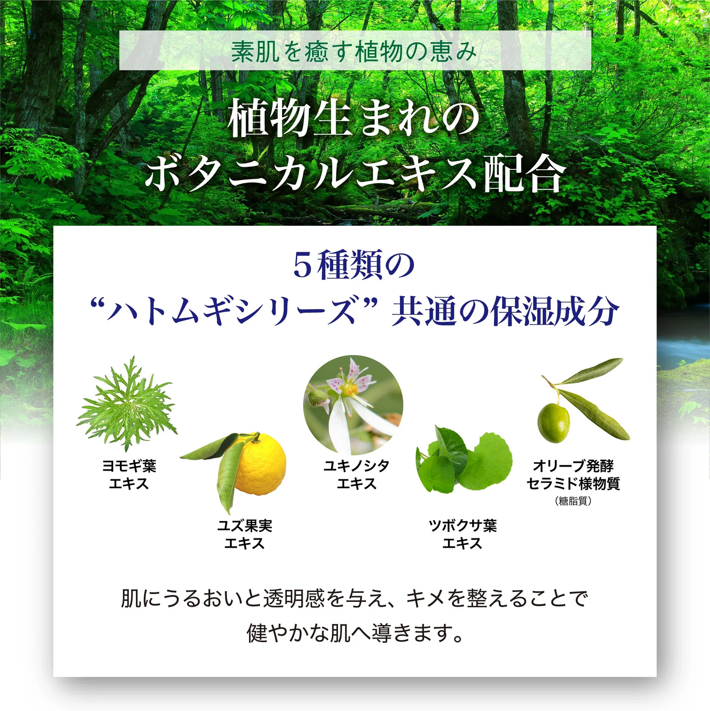ハトムギ豊潤美容液 200ml 新商品 大容量 美容液 ポンプ式 保湿 浸透性 伸びやすい べたつかない ハトムギエキス 高配合 ハトムギ種子発酵液 コメ発酵液 弱酸性 無香料