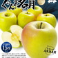 りんご 5kg  ぐんま名月 青森産【2025年1月中旬より発送】