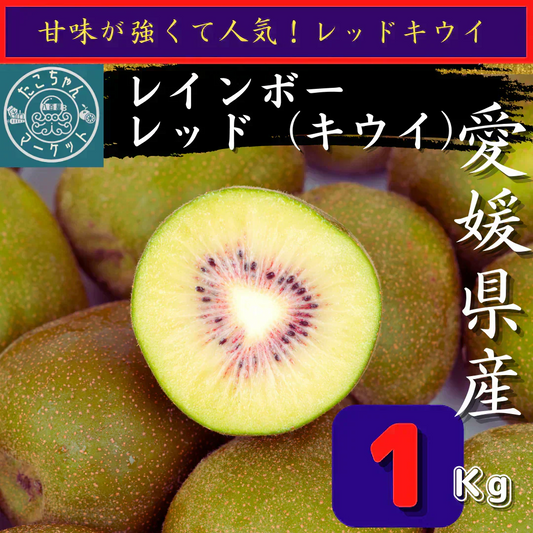 【予約販売10月中旬】甘さピカイチ！　愛媛県産　レッドキウイ　レインボーレッドと同品種　1Kg（風袋込み）