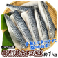 さば 骨取り特大トロさば 約1kg ノルウェー産（約6切前後入り）【2025年1月中旬より発送】